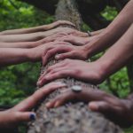 Hands on Tree Trunk